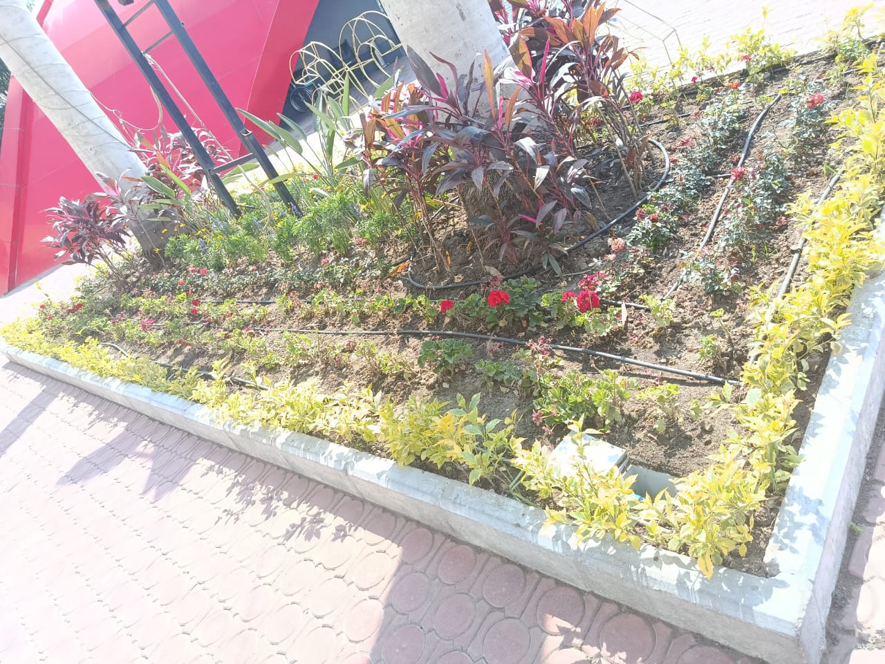 Softscape, Exotic Trees & Greenery